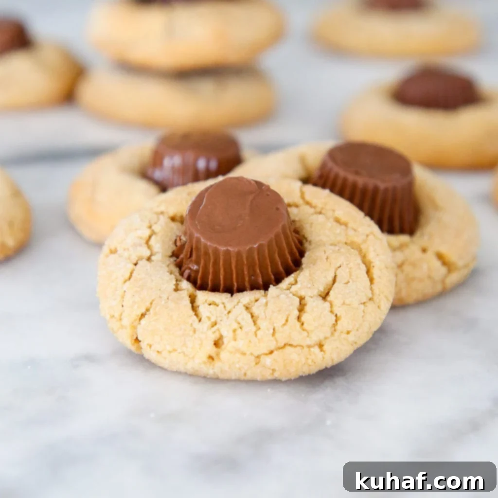 Peanut Butter Cup Delights 3 A stack of golden brown Peanut Butter Cup Blossoms, showcasing their flat tops and readiness for easy packaging in holiday cookie tins.
