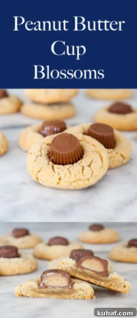 Peanut Butter Cup Delights 5 Stacked Peanut Butter Cup Blossoms, showing their flat top and delicious peanut butter cookie base.