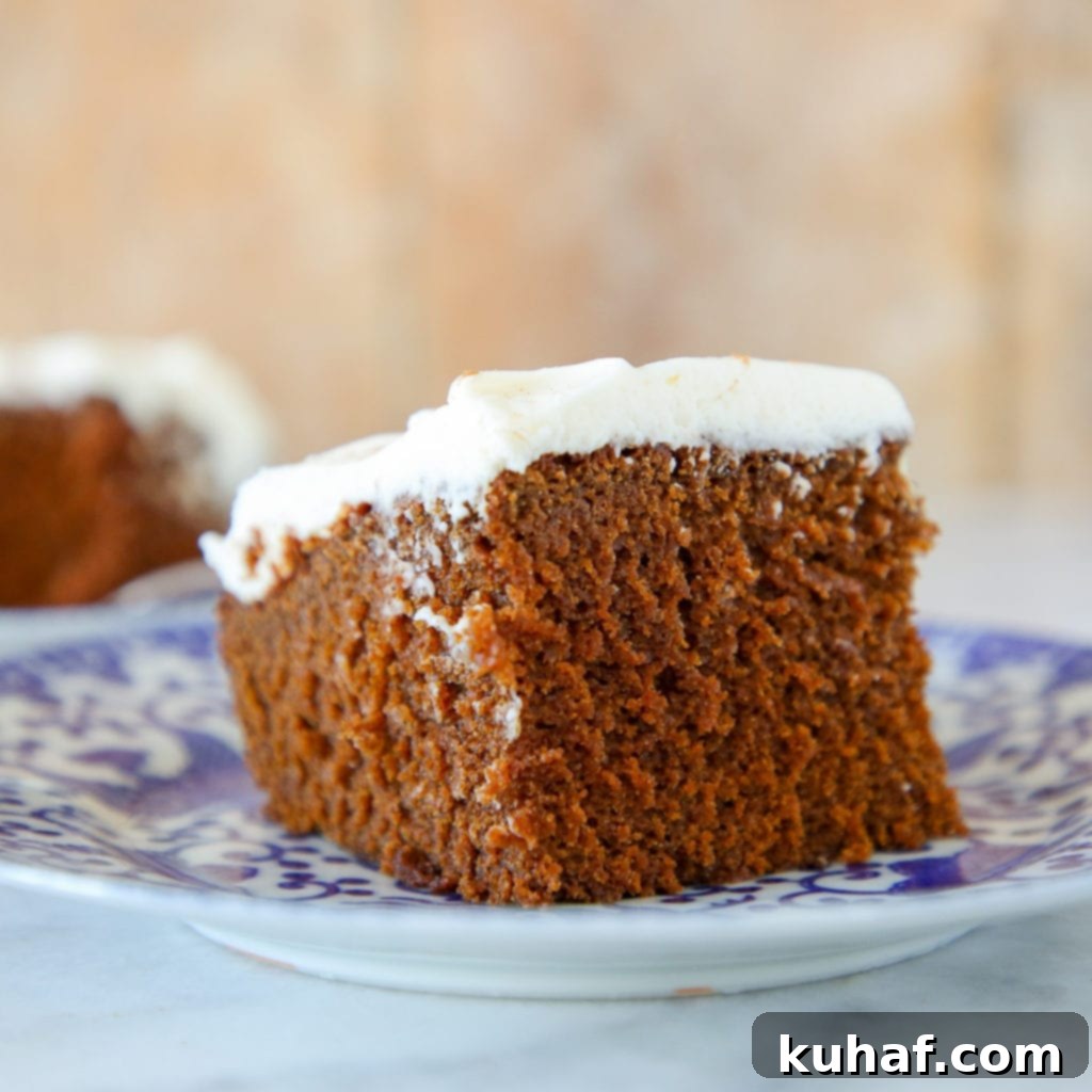 This American Gingerbread Cake is light, fluffy and moist with the perfect amount of spice! 