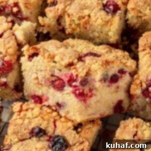Slices of cranberry cake showing crisp brown sugar streusel over tender cranberry-filled crumb.