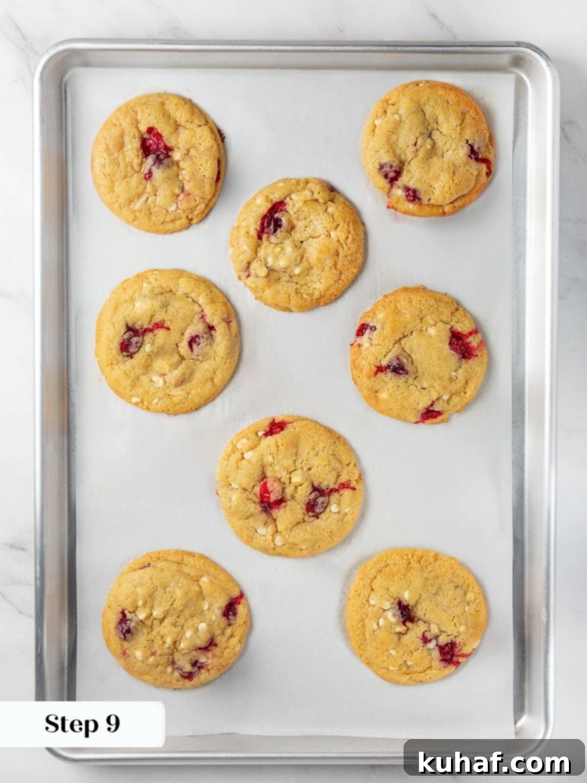 Freshly baked cranberry cookies resting on a parchment-lined baking sheet after baking.