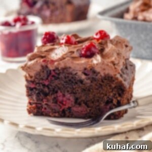 Moist chocolate cake slice with cherries visible throughout interior.