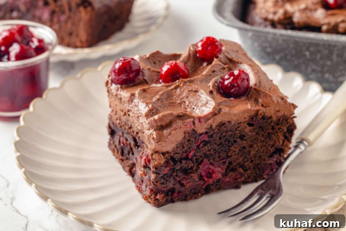 Close-up of a moist chocolate cherry cake slice with cherries baked inside and extra cherries on top.