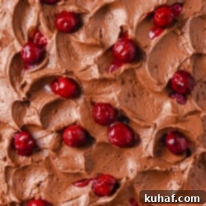 Chocolate cream cheese frosting showing fluffy texture with cherries nestled throughout.