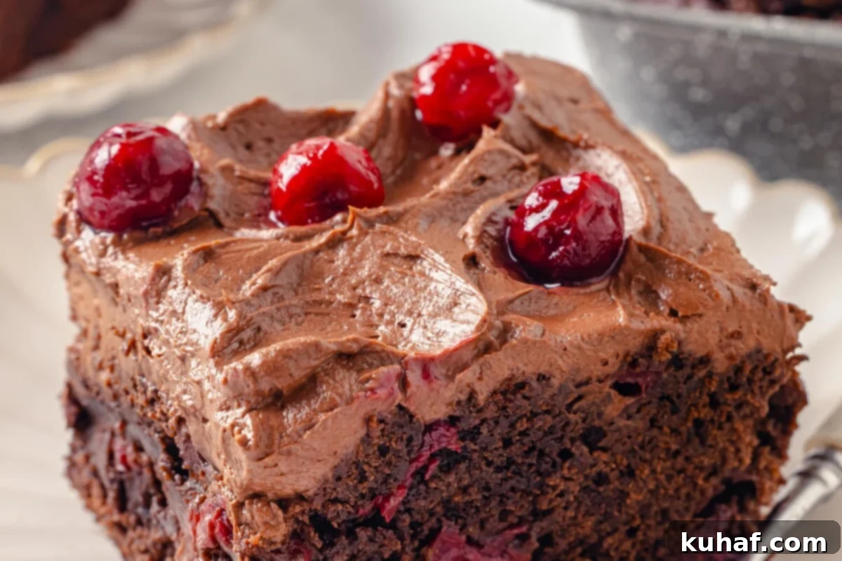 Chocolate Cream Cheese Dream Frosting 5 Frosted chocolate cake slice featuring cherries and gently textured icing surface.